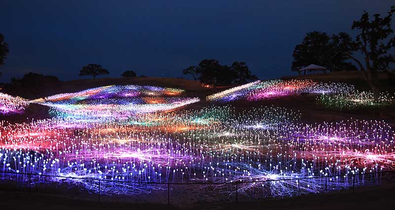 Field of Light at Sensorio (c) 2019 Bruce Munro. Photo by Serena Munro.