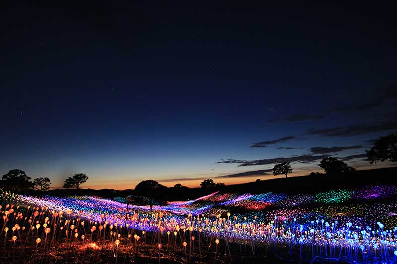 Field of Light at Sensorio (c) 2019 Bruce Munro. Photo by Serena Munro.