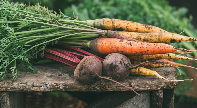 Autumn Harvest