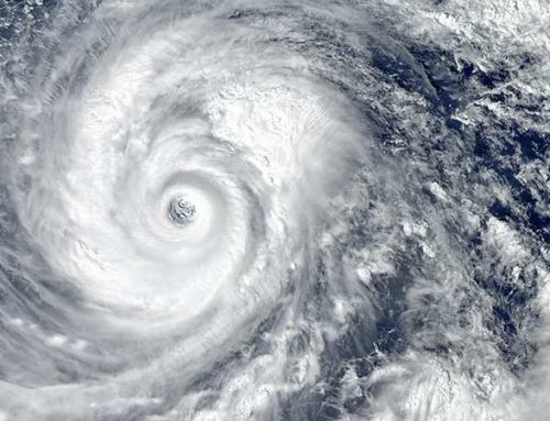 Navigating a Financial Hurricane