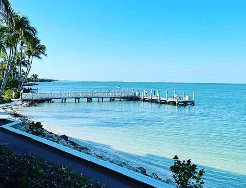 Captivated on Captiva Island