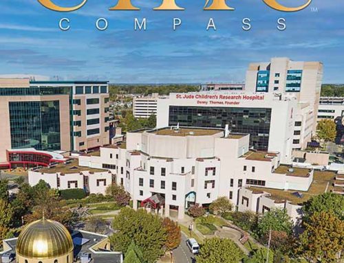 Chic Compass – Issue 9
