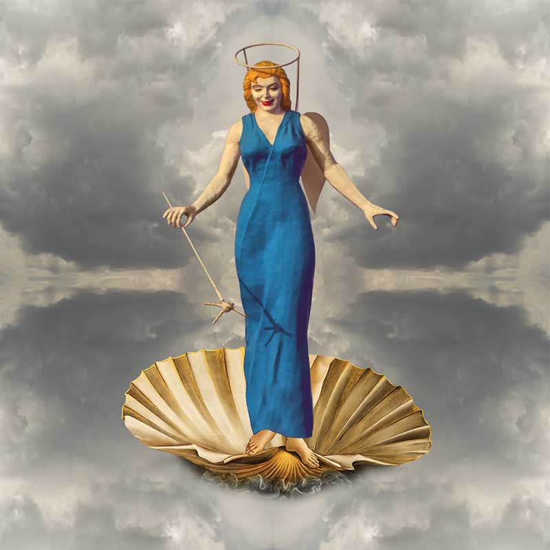 Blue Angel on the Half Shell Print by James Stanford