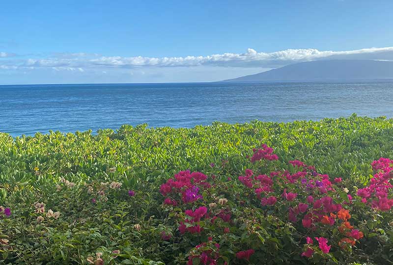 Maui