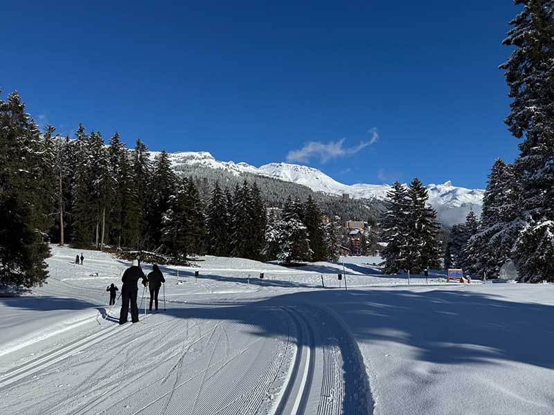 Cross-country skiing in the Swiss Alps