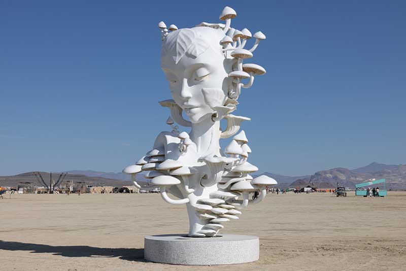 Mycelia by Daniel Popper