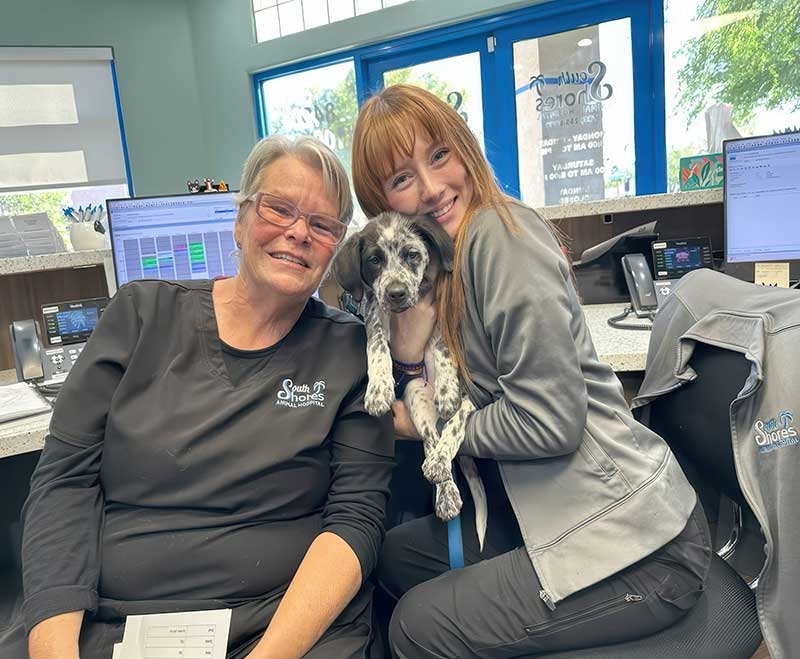 Dawna and Hallie are two of the friendliest staff at South Shores Animal Hospital, and the entire team is fantastic