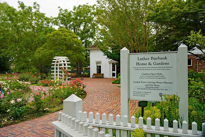 Luther Burbank Home & Gardens (Photo courtesy of Visit Santa Rosa)
