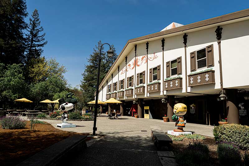Snoopy’s Home Ice (Photo courtesy of Visit Santa Rosa)