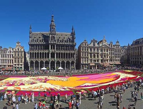 Roll Out the … Flower Carpet?